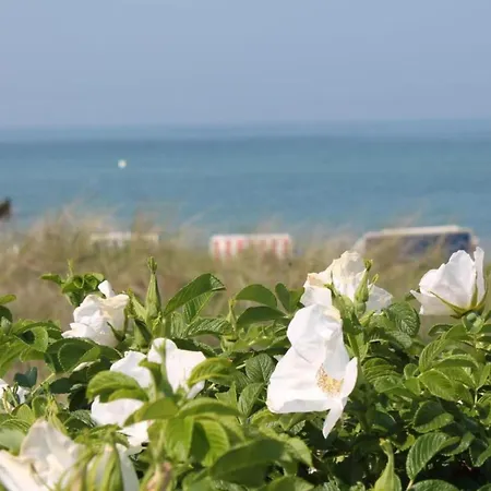 Mit Terrasse In Kluetz Wohlenberg