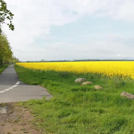 Mit Terrasse In Kluetz Lejlighed Wohlenberg
